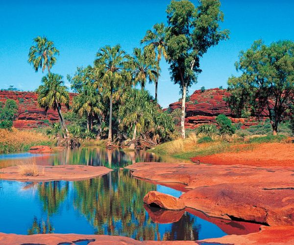 From Alice Springs: Palm Valley 4WD Outback Safari + Picnic – Northern Territory, Australia