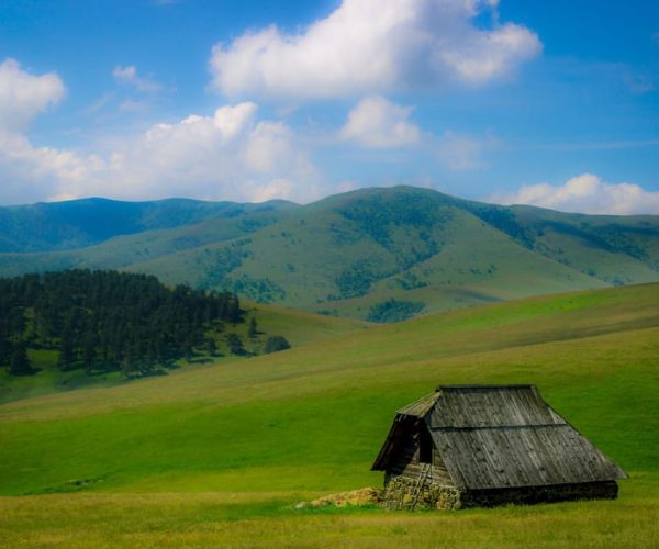 From Belgrade: Full-Day Guided Tour of Zlatibor Mountain – Zlatibor District, Serbia