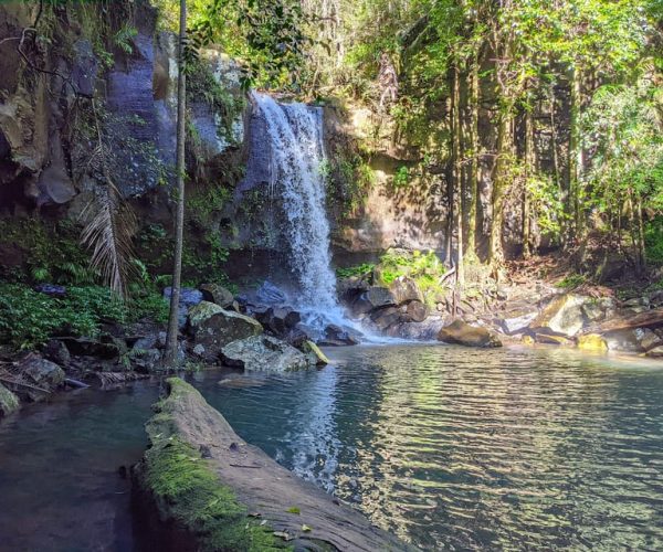 From Brisbane: Tamborine Mountain and Paradise Point Tour – Queensland, Australia