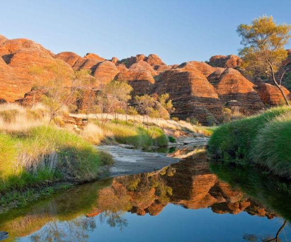 From Broome: Bungle Bungle Explorer Scenic Flight – Western Australia, Australia