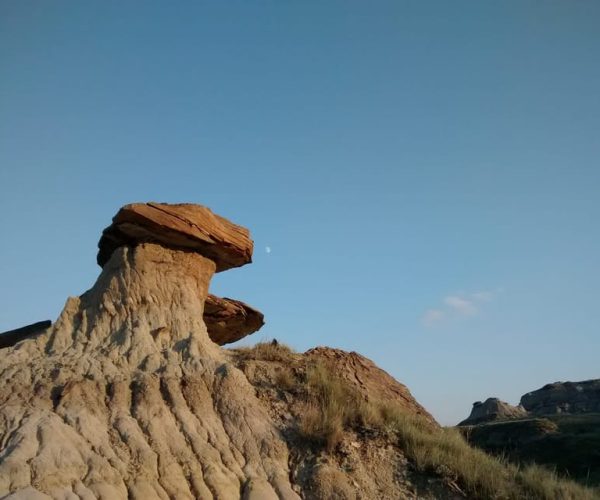 From Calgary: Canadian Badlands Private Geological Tour – Alberta, Canada