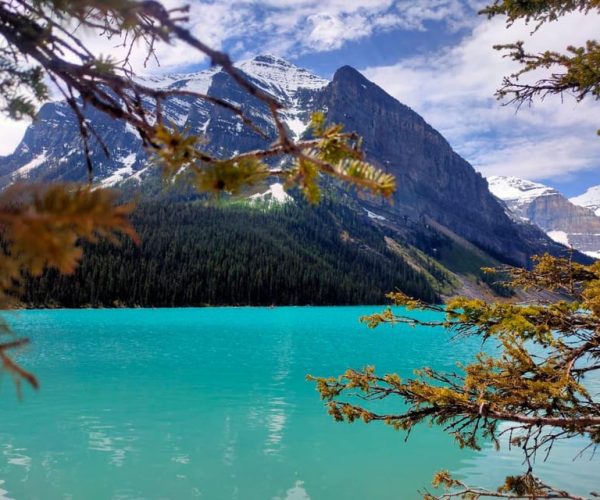 From Calgary: Lake Louise Moraine Lake Emerald Lake Day Tour – Alberta, Canada