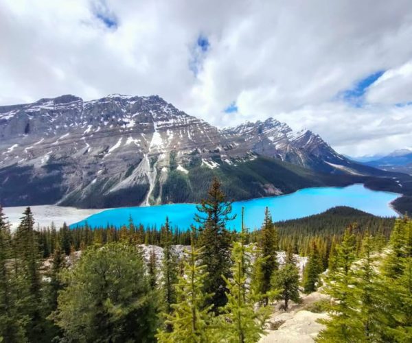 From Calgary: Lake Louise Moraine Lake Peyto Lake 1-Day tour – Alberta, Canada