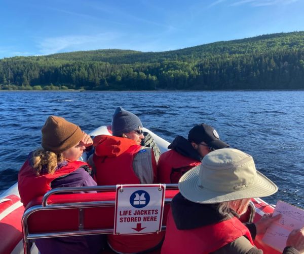 From Corner Brook : Bay Of Islands Island Zodiac Boat Tour – Newfoundland and Labrador, Canada