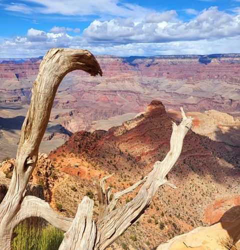 From Flagstaff: Private Grand Canyon National Park Tour – Grand Canyon National Park, Arizona