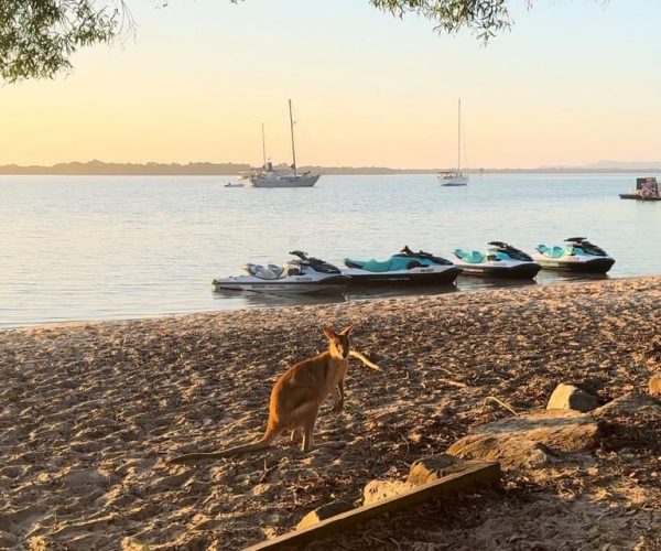 From Gold Coast: South Stradbroke Island Jetski Tour – Queensland, Australia