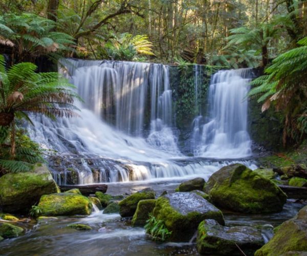 From Hobart: Mt. Field National Park and Russell Falls – Tasmania, Australia