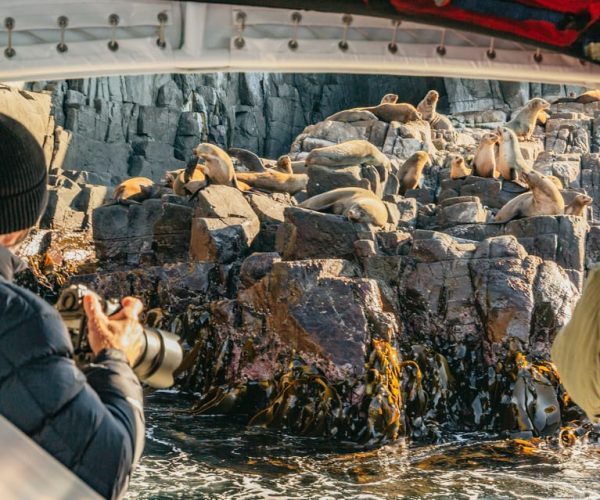 From Hobart/Adventure Bay: Bruny Island Wilderness Cruise – Tasmania, Australia