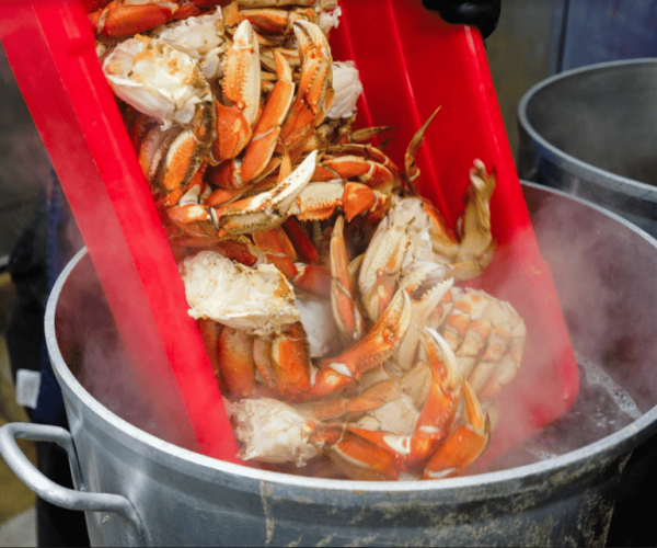 From Ketchikan: Crab Feast Lunch at World Famous Lodge – Ketchikan, Alaska