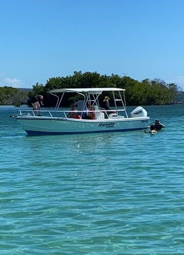 From La Parguera: Local Sandbars Speedboat Day Trip – Western, Puerto Rico