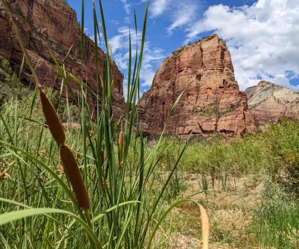 From Las Vegas: Zion National Park Small Group Adventure – The Narrows, Utah