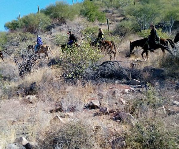 From Loreto: Baja Desert Horseback Riding Tour – Baja California Sur, Mexico