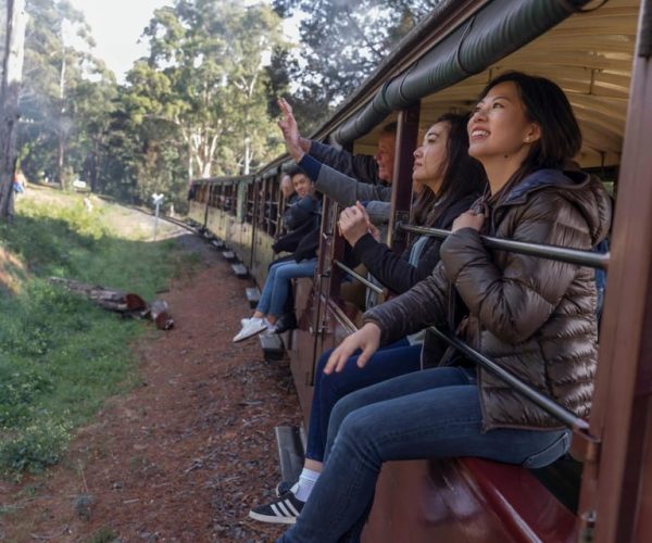 From Melbourne: Puffing Billy Train & Penguins Wildlife Tour – Victoria, Australia, Australia