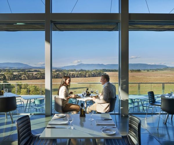 From Melbourne: Yarra Valley Wildlife & Wine Day Tour – Victoria, Australia, Australia