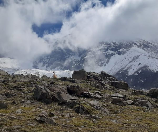 From Mendoza: Full-Day hike to “Cordón del Plata Andes” – Mendoza Province, Argentina