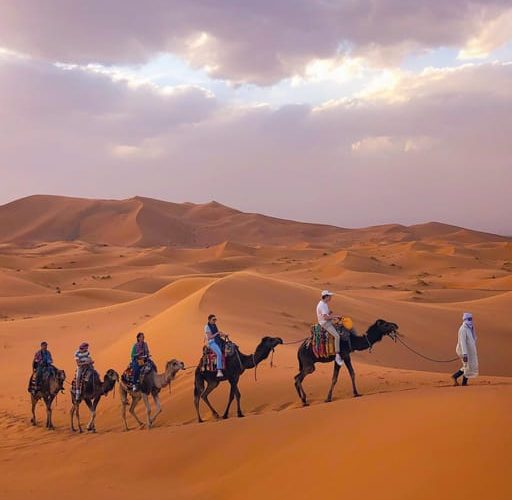 From Merzouga: Sunset Camel Ride & Sandboarding – Sahara Desert, Morocco, Morocco