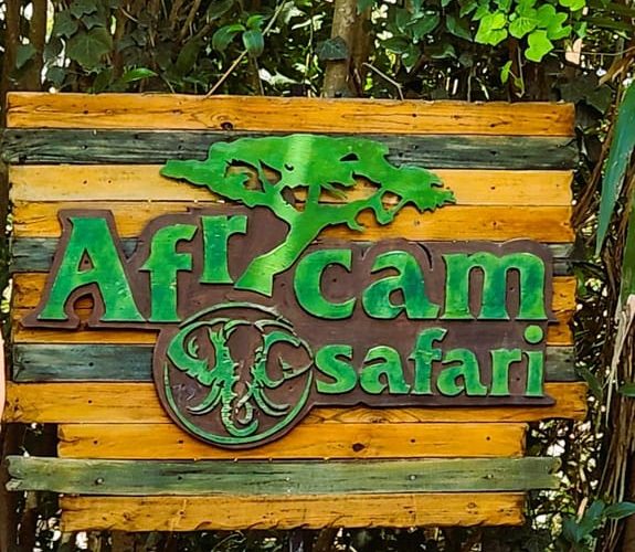 From Puebla: AFRICAM SAFARI TOUR PRIVATE TOUR – Puebla State, Mexico