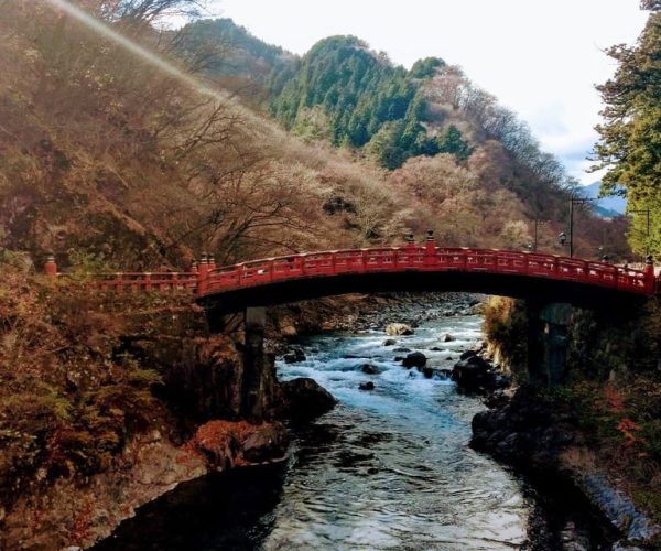 From Tokyo: Nikko Tour with Toshogu Shrine and Kegon Falls – Kanto Region, Japan