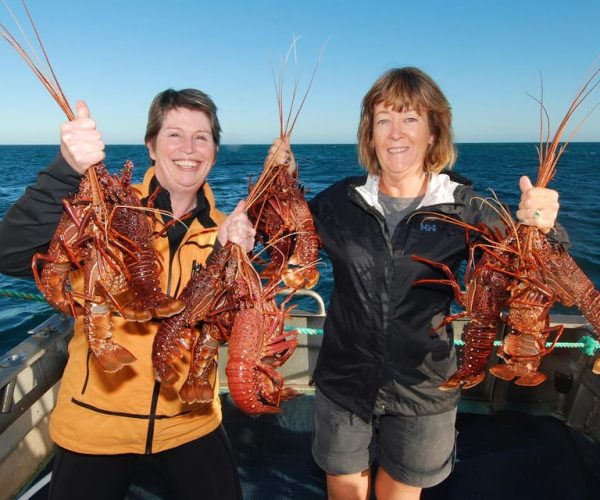 Geraldton: Eco Abrolhos Cruises Lobster Pot Pull – Western Australia, Australia