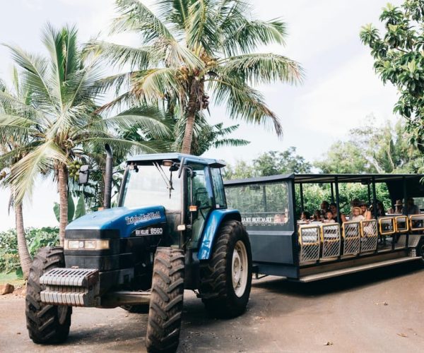 Gold Coast: Tropical Fruit World Tractor Train Tour – Queensland, Australia