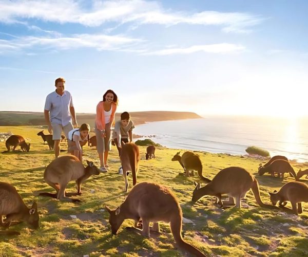 Great Ocean Road and Wildlife Day Tour – Victoria, Australia, Australia