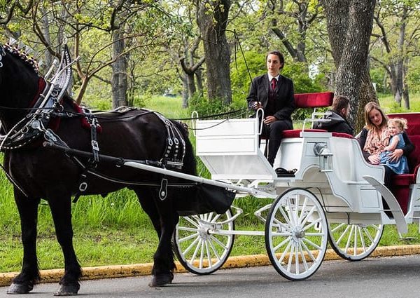 Guided Central Park and NYC Horse Carriage Ride – New York City, New York