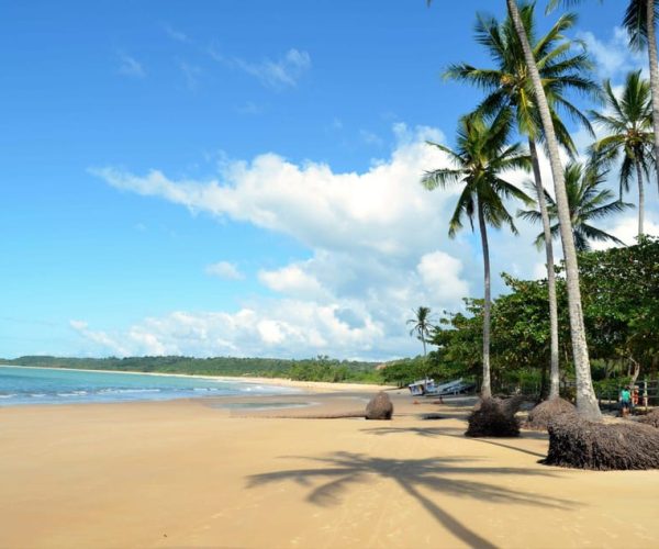 Guided Tour in Trancoso: Paradise Beaches – Northeast Region, Brazil, Brazil