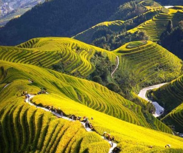 Guilin: Longji Rice Terraces and Minority Village tour – Southern China, China