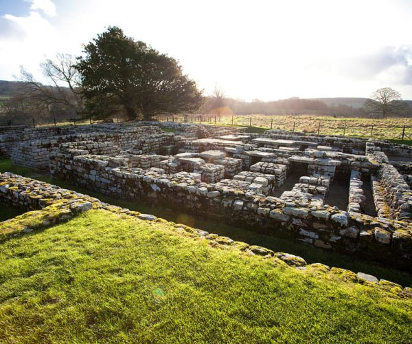 Hadrian’s Wall: Chesters Roman Fort and Museum Entry Ticket – Northumberland, United Kingdom