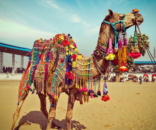 Historical, Exclusive, Delhi with Jaipur Tour (03 Days) – New Delhi, India