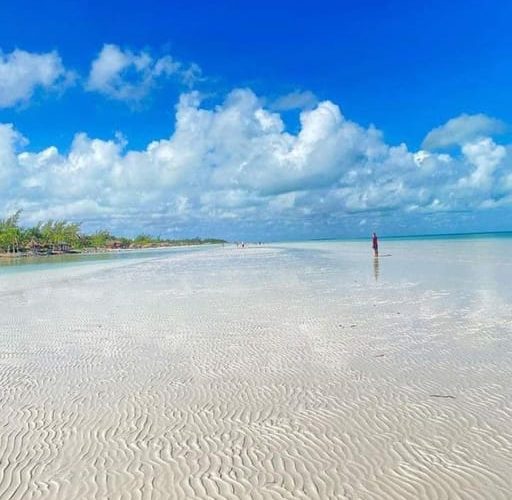 Holbox: Private Boat Tour with Breakfast and Lunch – Quintana Roo, Mexico