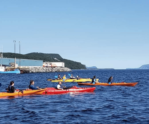 Humber Arm South: Bay of Islands Guided Kayaking Tour – Newfoundland and Labrador, Canada