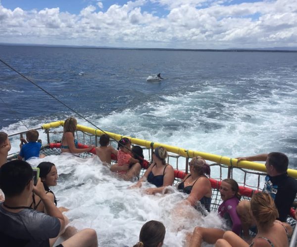 Huskisson: Dolphin Cruise & Boom Netting Experience – New South Wales, Australia