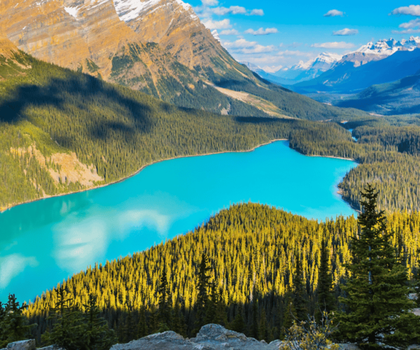 Icefields Parkway: Self-Guided Majestic Peaks Drive Tour – Alberta, Canada