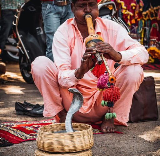 Jaipur: Guided Walking Tour with Tea and Street Food Tasting – Rajasthan, India