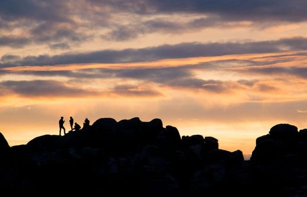 Joshua Tree NP: Sunrise or Sunset Tour – California, United States