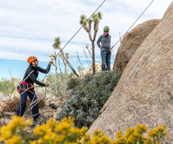 Joshua Tree National Park: Private Rock Climbing Trip – California, United States