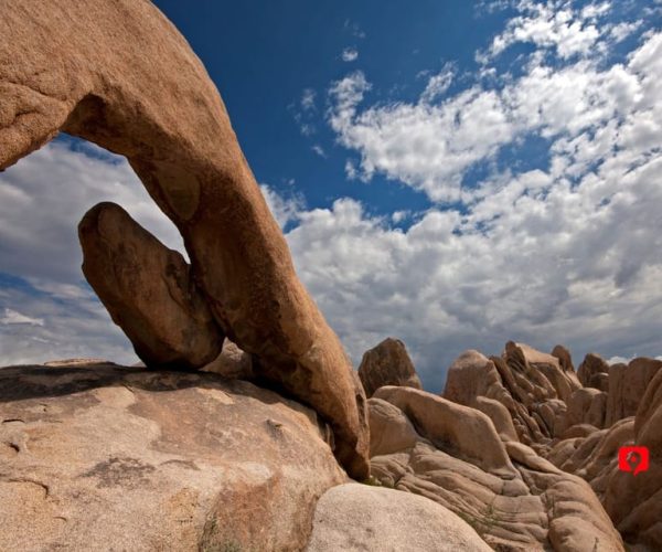 Joshua Tree National Park: Self-Guided Scenic Drive Tour – California, United States