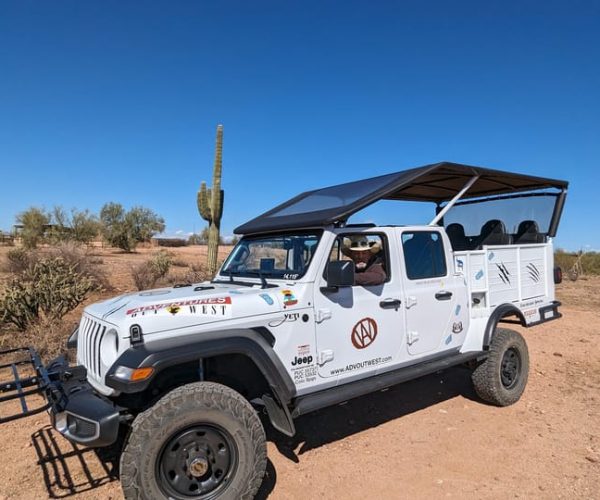 Jumping Cholla (Choya) Jeep Tour – Verde River, Arizona