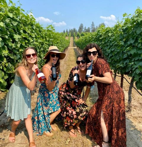 Kelowna: Lake Country Full Day Guided Wine Tour – British Columbia, Canada