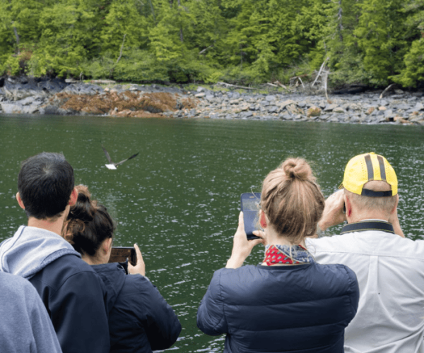 Ketchikan: Wilderness Boat Cruise and Crab Feast Lunch – Juneau City Alaska, Alaska