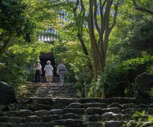 Kyoto: Zen meditation and tea ceremony at a hidden temple – Kansai Region, Japan