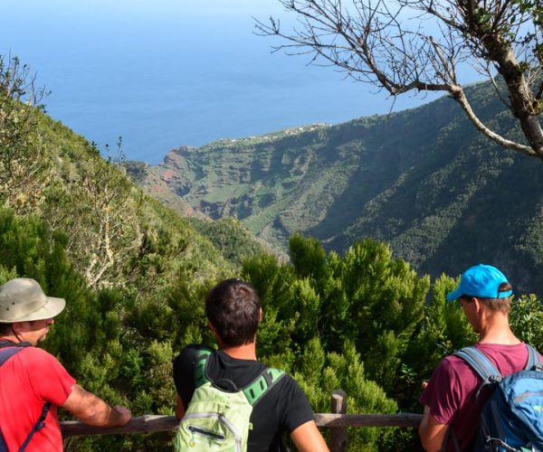 La Palma: Zarza Archaeological Park Guided Trek – Canary Islands, Spain