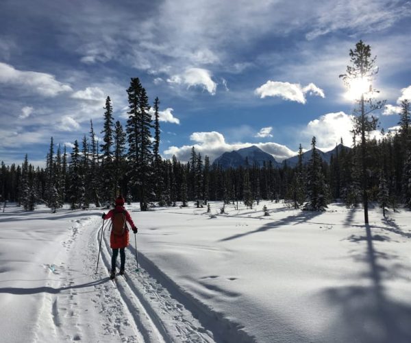 Lake Louise: Cross Country Skiing Lesson with Tour – Alberta, Canada