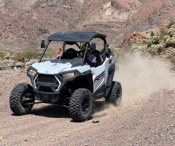 Las Vegas: Colorado River Adrenaline RZR Tour – Colorado River, Arizona