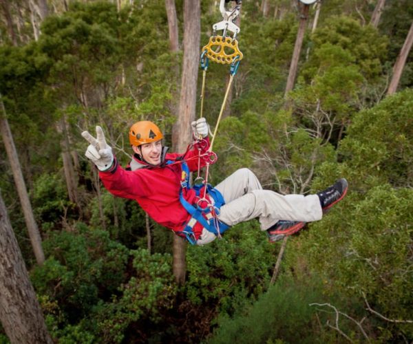 Launceston: Hollybank Forest Treetop Zip Lining with Guide – Tasmania, Australia