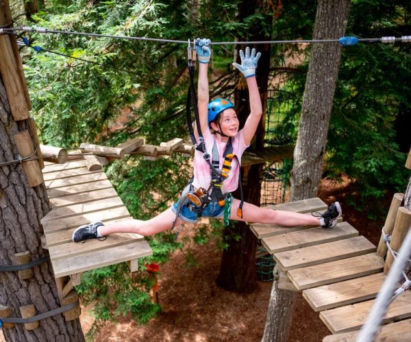 Launceston: Hollybank Tree Ropes Course – Tasmania, Australia