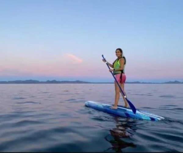 Loreto: Paddleboard Rental Service – Baja California Sur, Mexico