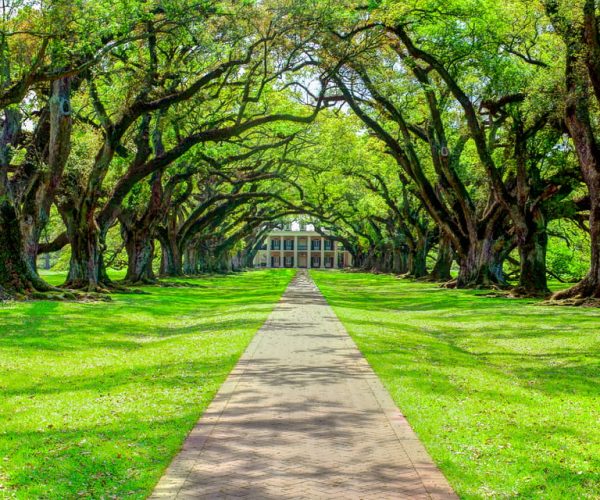 Louisiana Plantation Country Half-Day Tour – Louisiana, United States