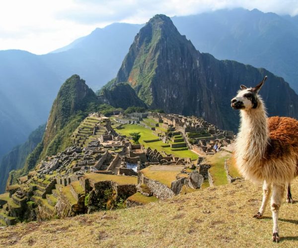 MACHU PICCHU IN ONE DAY – FULL DAY – Cusco Region, Peru